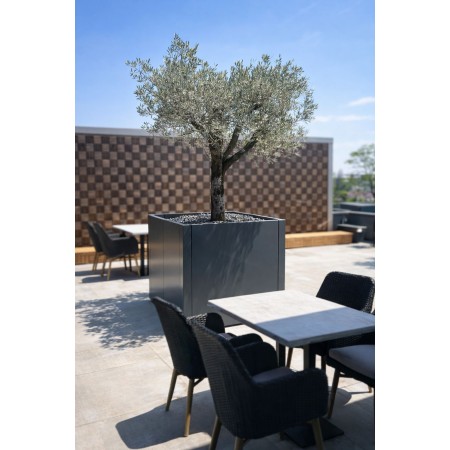 Easy planter Quadra 120 XXL модул к-т с размер 1200x1200x1200 Easy planter Quadra 120 XXL модул к-т с размер 1200x1200x1200
